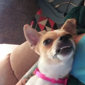 Meet your Posher, Christel